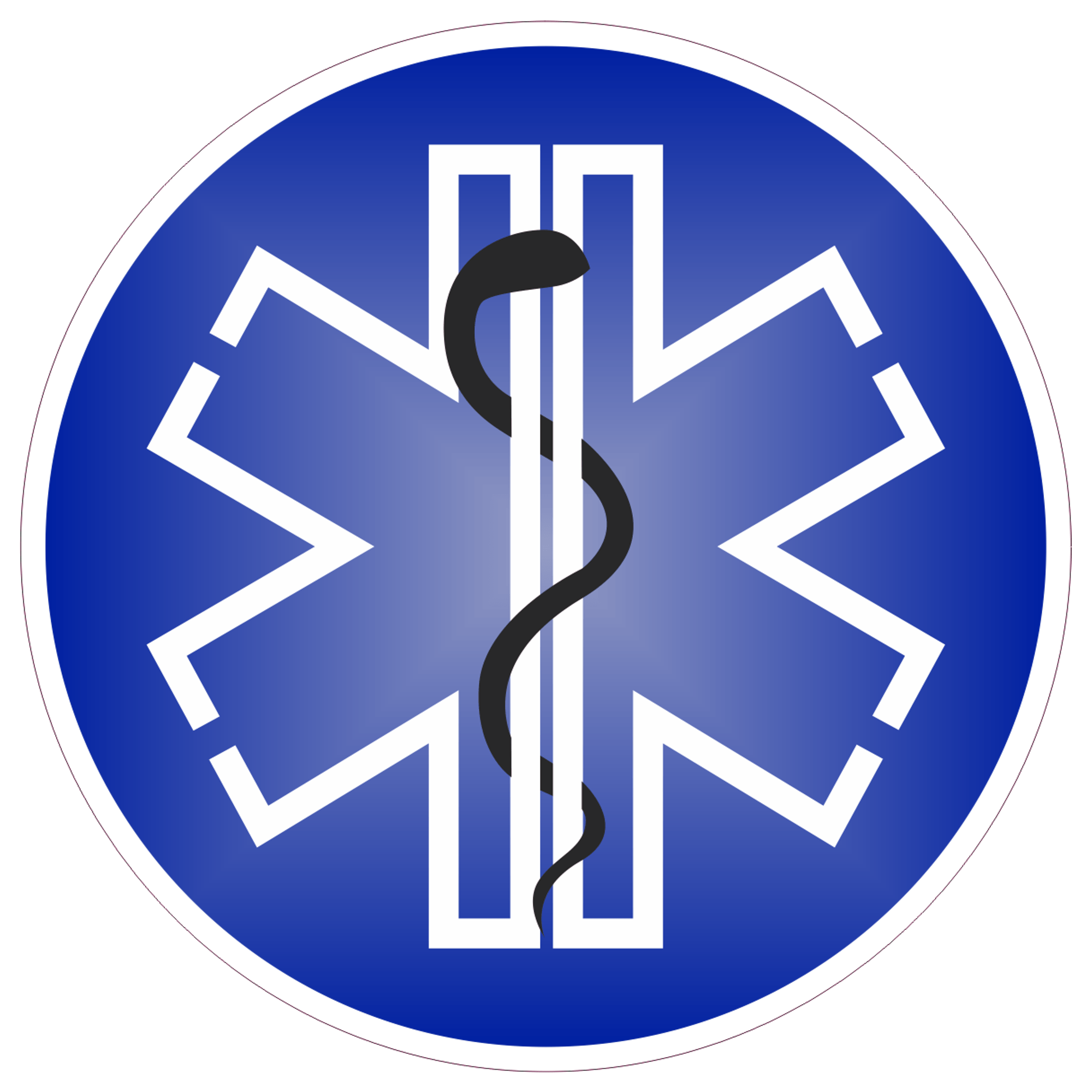 Caduceus Staff Star Of Life Blue Background Black Snake - 4 inch Sticker