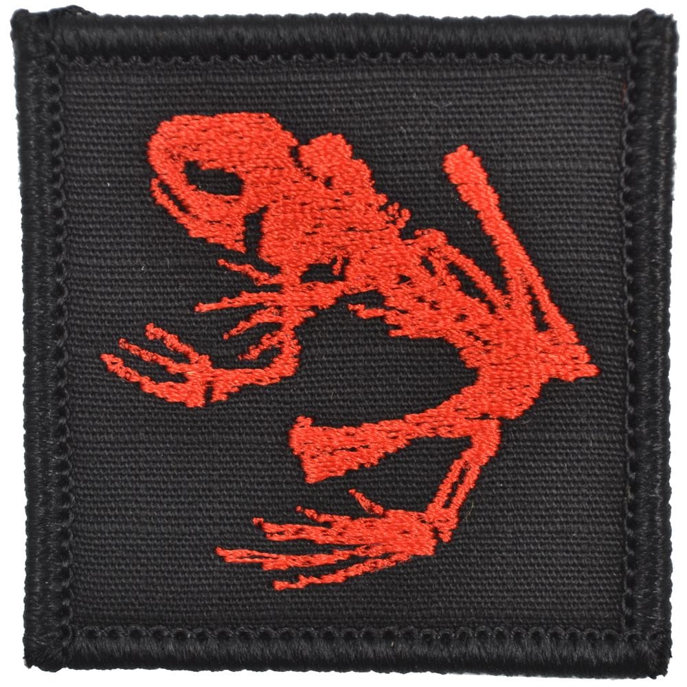 Navy Seal Frog - 2x2 Patch