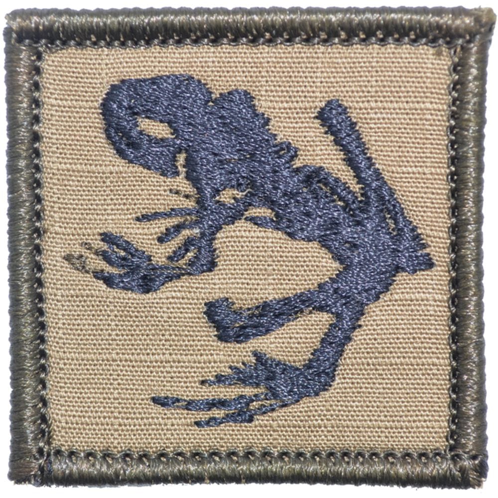 Navy Seal Frog - 2x2 Patch