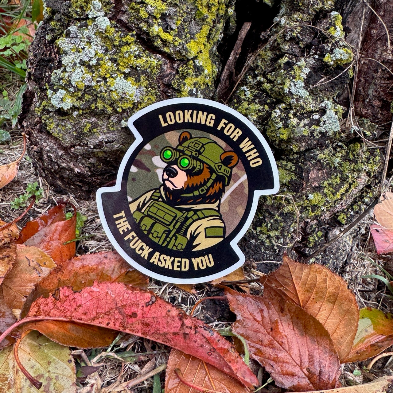 November 2025 POTM - Looking For Who The Fuck Asked You - 3.5" - Sticker